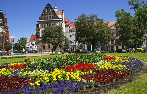 Już za parę dni wielkie ukwiecanie Legnicy 5